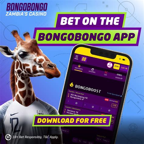 bongo bongo bet login|Promotions at Bongobongo .